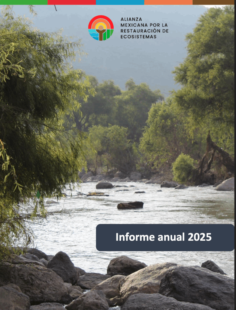 Portada: Informe anual, AMERE 2025